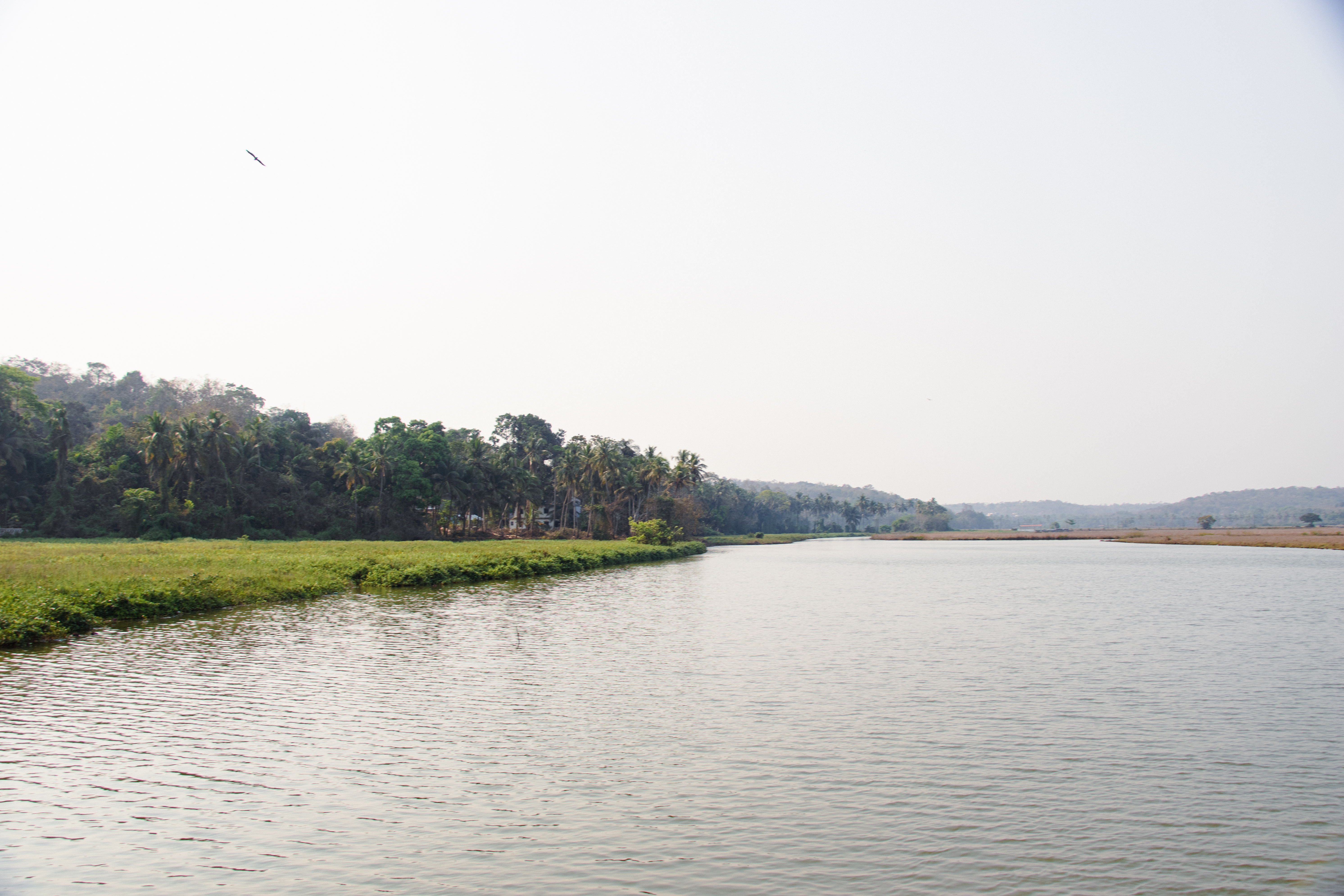 Discover Tranquil Luxury: Investing in Elite Real Estate in Goa&#8217;s Serene Villages